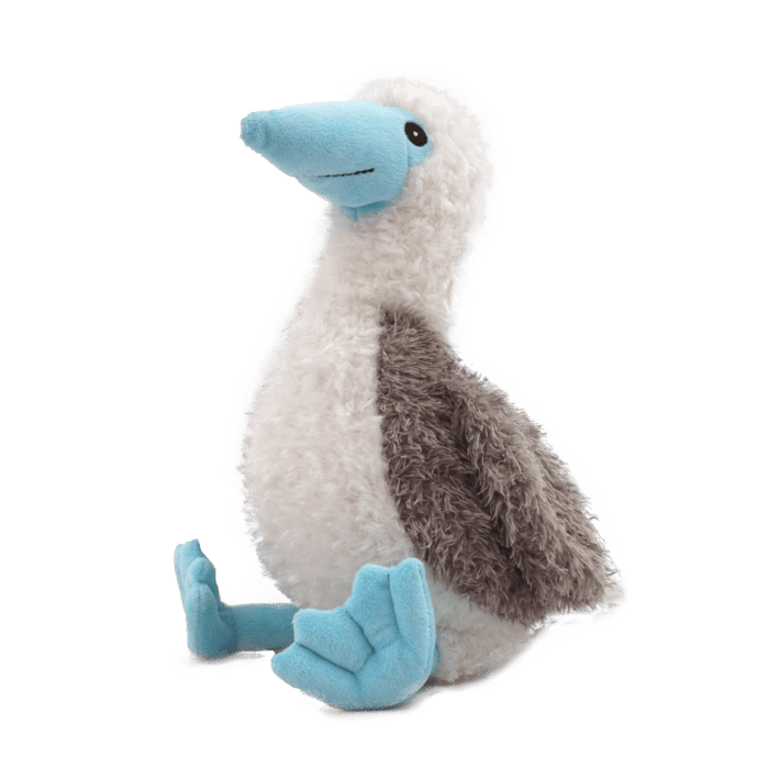 Kuscheltier Blaufußtölpel Booby Blaufuß