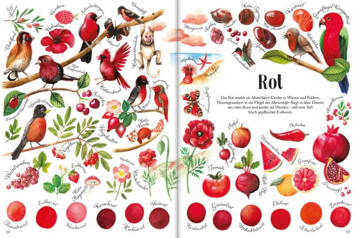 Eine Innenseite aus dem Bilderbuch "So bunt ist die Natur!". Abgebildet sind rote Tiere und Pflanzen. Unten sind die verschiedenen Rottöne aufgemalt.