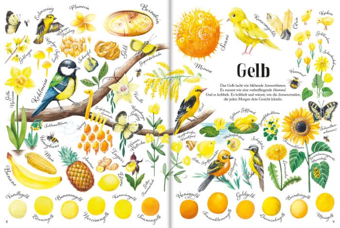 Eine Innenseite aus dem Bilderbuch "So bunt ist die Natur!". Abgebildet sind gelbe Tiere und Pflanzen. Unten sind die verschiedenen Gelbtöne aufgemalt.
