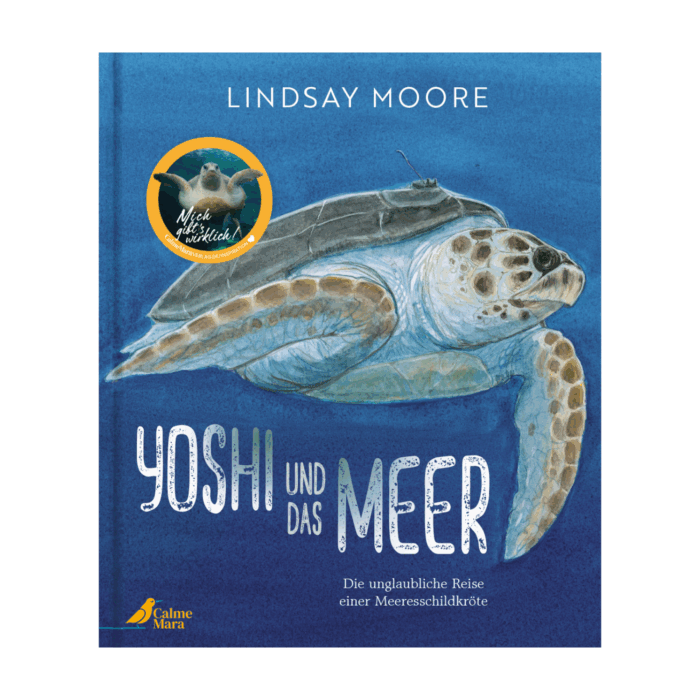 Buchcover von dem Kinderbuch "Yoshi und das Meer". Eine Schildkröte, die im Meer schwimmt.