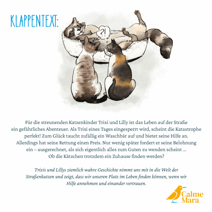 Klappentext von "Trixi, Lilly und der Waschbär"