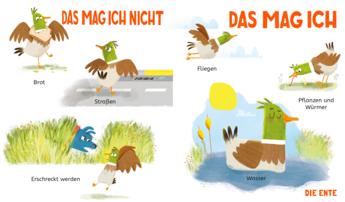 Innenseite aus dem Pappbilderbuch "Das mag ich - Das mag ich nicht" auf dem dargestellt ist, was Enten mögen und nicht mögen