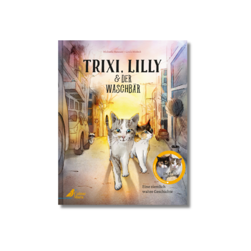 Cover des Bilderbuchs "Trixi, Lilly und der Waschbär", auf der zwei Katzen durch eine Stadtkulisse streichen