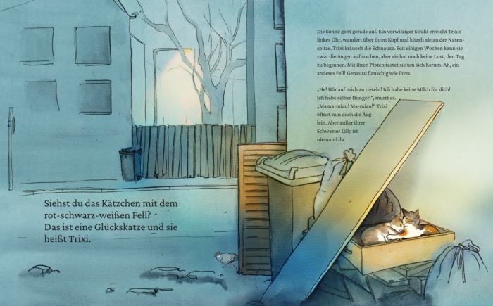 Innenseite aus dem Bilderbuch "Trixi, Lilly und der Waschbär": die Katzen wachen in einem Karton auf, während die Sonne aufgeht.